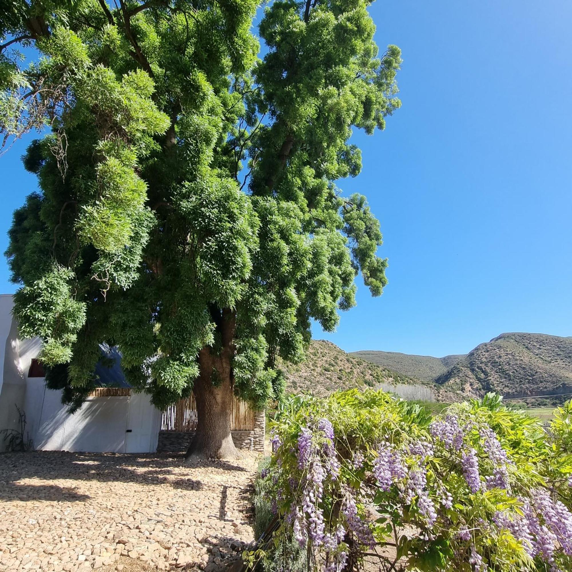 De Kombuys Oudtshoorn Exterior foto